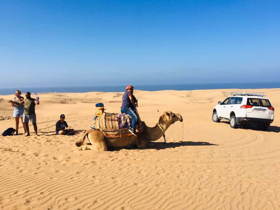 From Agadir: Mini Sahara Day Tour with Lunch - How This 8-Hour Mini Sahara Day Trip Flows From Agadir