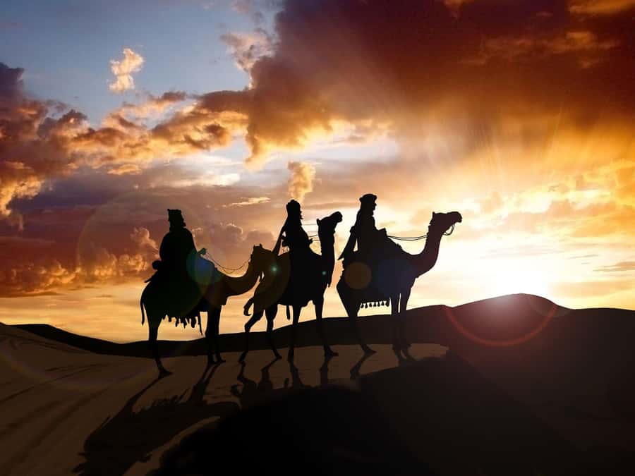 From Agadir or Taghazout: Camel Ride Berber Tour Experience - Key Highlights You Will Actually Care About