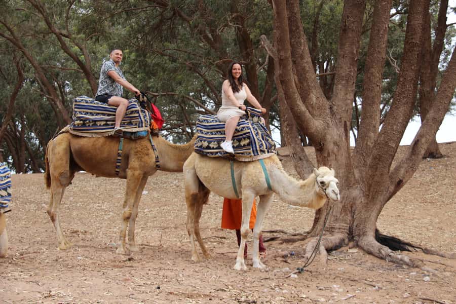 From Agadir or Taghazout: Camel Ride Berber Tour Experience - Where the Tour Goes: Souss-Massa and the Souss River Estuary