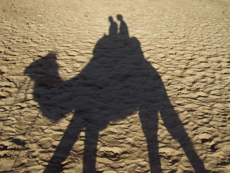 From Agadir or Taghazout: Camel Ride Berber Tour Experience - Tea, Biscuits, and the Optional Barbecue Upgrade