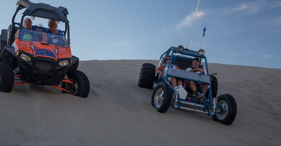 From Agadir or Taghazout: Desert Dunes Buggy Tour - Berber villages, farms, and the argan-fig forest run