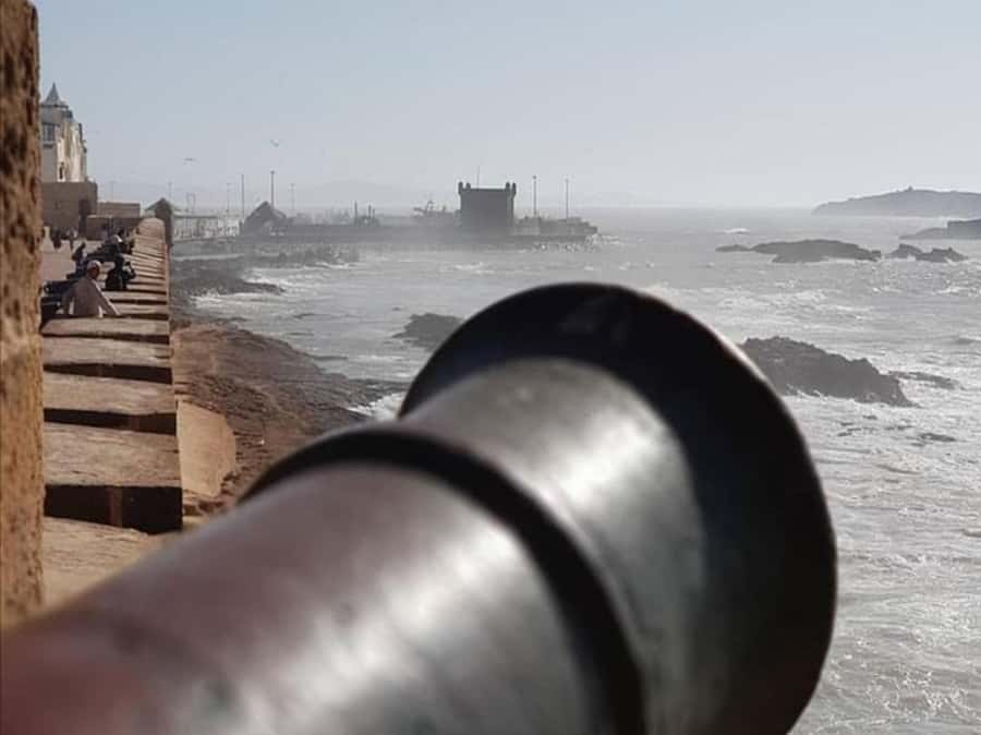 From Agadir or Taghazout : Essaouira Day Trip - Municipal Market Stop and How to Turn Free Time Into a Great Lunch