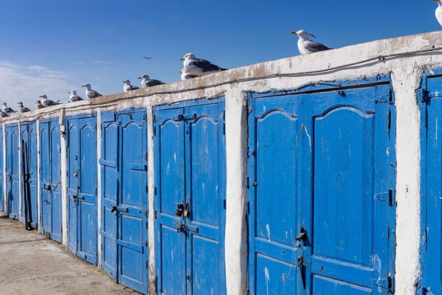 From Agadir or Taghazout: Essaouira Day Trip with Transfer - How the Guides and Drivers Shape the Whole Experience
