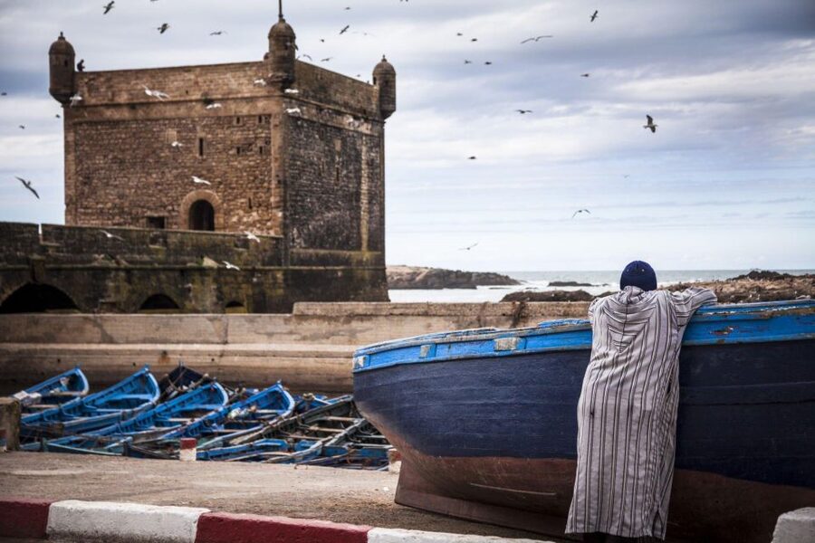 From Agadir or Taghazout: Essaouira Day Trip with Transfer - Who Should Book This Essaouira Day Trip?
