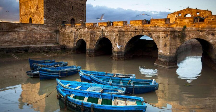 From Agadir or Taghazout: Essaouira Day Trip with Transfer - Bab El Marse Port and Sqala Cannons: Where You See the City’s Ocean Life