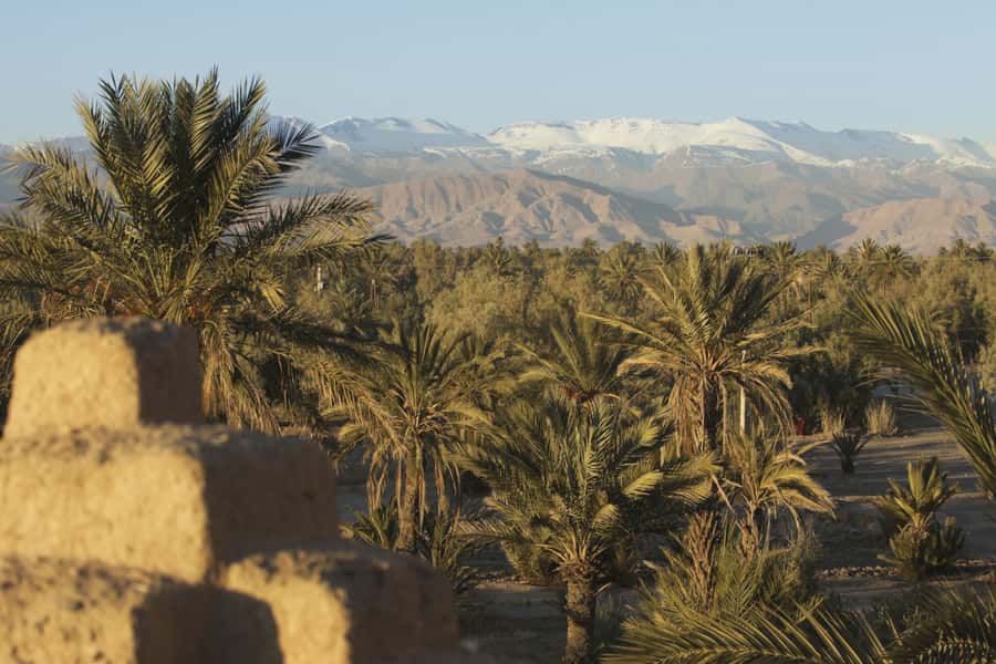 From Agadir or Taghazout: Paradise Valley Natural Atlas Tour - Paradise Valley itself: palms, water, and a short hike