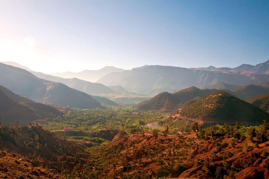From Agadir or Taghazout: Paradise Valley Natural Atlas Tour - The women cooperative botanic stop and the argan angle