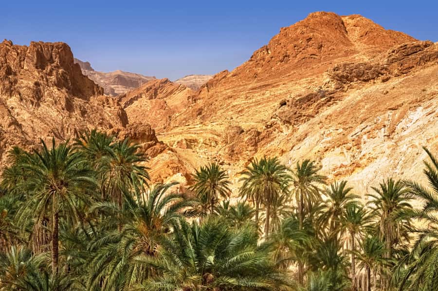 From Agadir or Taghazout: Paradise Valley Natural Atlas Tour - How the day starts: pick-ups, Immouzar, and Atlas viewpoints