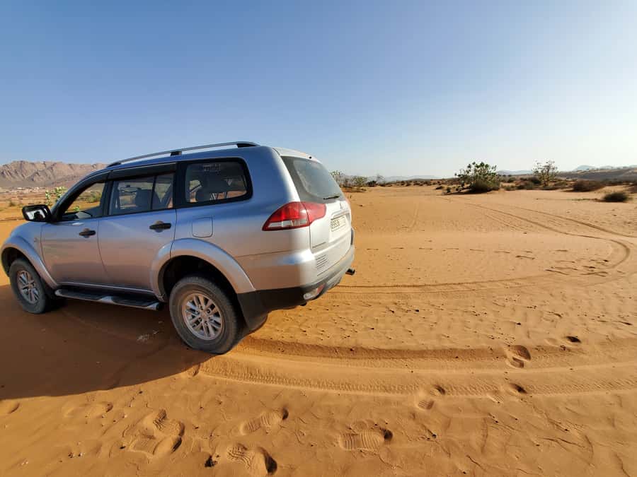 From Agadir: Sahara Desert Day Trip and Camel Ride - Price and Logistics: What You Get for Around $56