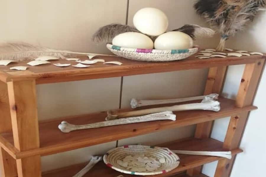 From Agadir: Souss-Massa National Park Tour with Lunch - Lunch at a Moroccan restaurant: tagine, couscous, and what to expect