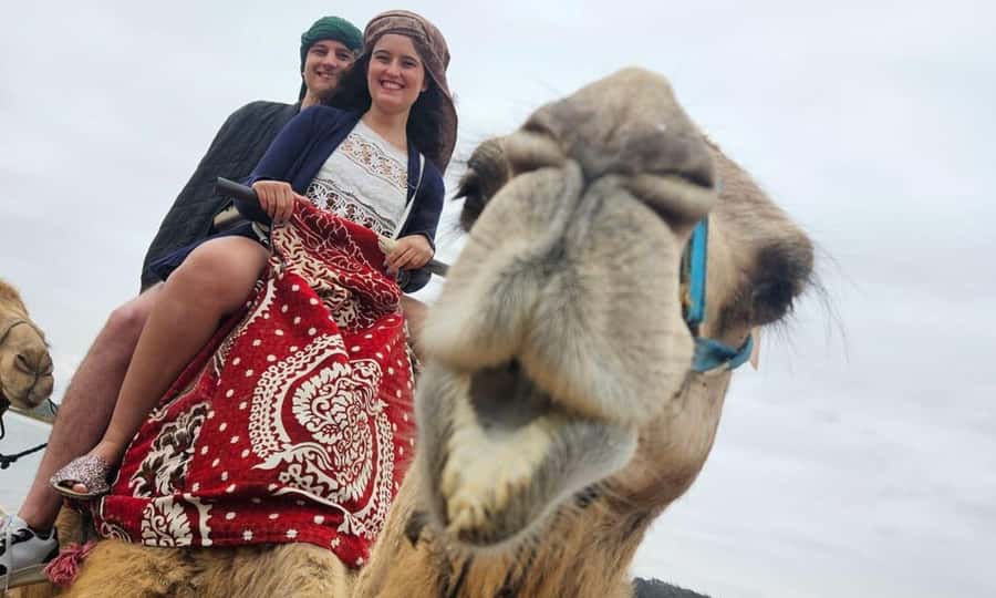 From Agadir: Souss River Camel Ride - Key things to know before you go