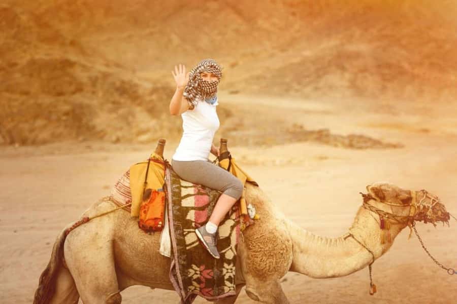From Agadir: Souss River Camel Ride - The ride through the Souss Massa region, what you will notice up close
