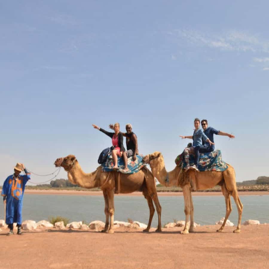 From Agadir: Souss River Camel Ride - Price and value: is $24 a good deal for Agadir?