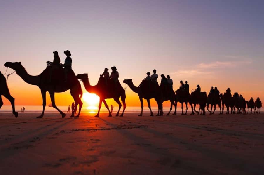 From Agadir: Souss River Camel Ride - A heads up on return timing and comfort at the stables