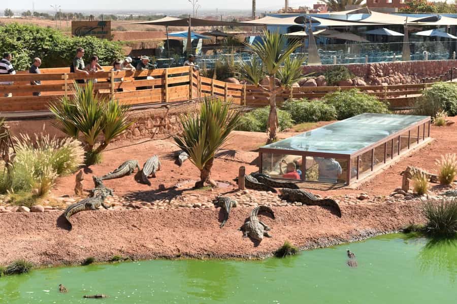 From Agadir/Taghazout: Buggy Safari Adventure & Moroccan Tea - Off-road driving time: what the route feels like
