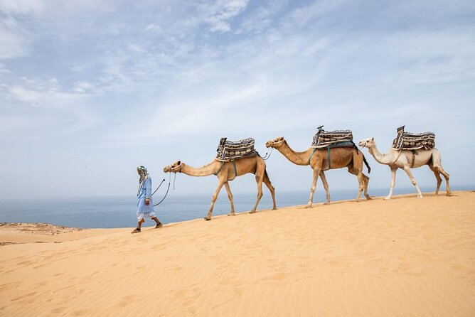 From Agadir/Taghazout: Sahara Sand Dunes – Morning or Sunset Tour - Getting Picked Up in Agadir or Taghazout, Then Rolling North