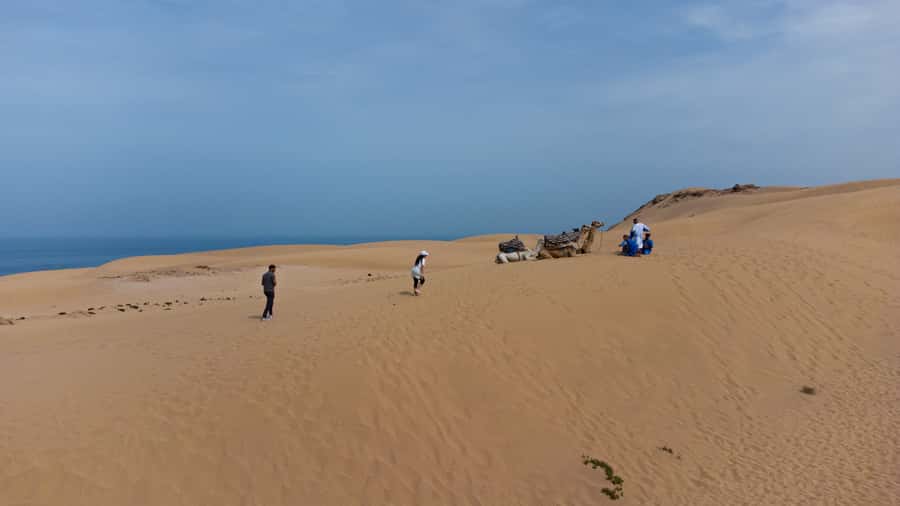 From Agadir/Taghazout: Sahara Sand Dunes with Transfer - Key things you’ll notice on this Sahara dunes day