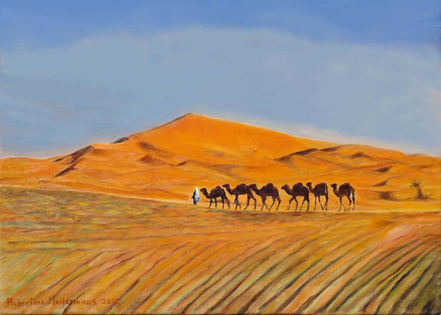 From Agadir/Taghazout: Sahara Sand Dunes with Transfer - What you can do once you’re in the sand