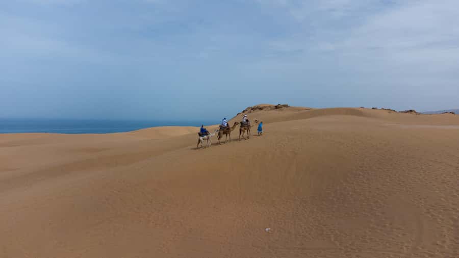 From Agadir/Taghazout: Sahara Sand Dunes with Transfer - Guides like Yassine, Ismael, and Ibrahim: why it feels personal
