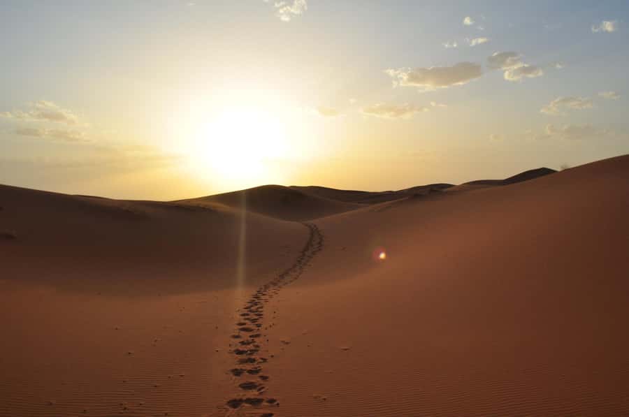 From Agadir/Taghazout: Sahara Sand Dunes with Transfer - Price and value: is $49 a good deal?