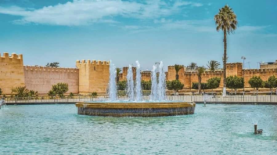 From Agadir: Taroudant and Tiout Day Tour with Lunch - Goats in trees at Tiout, plus an oasis setting that changes the mood