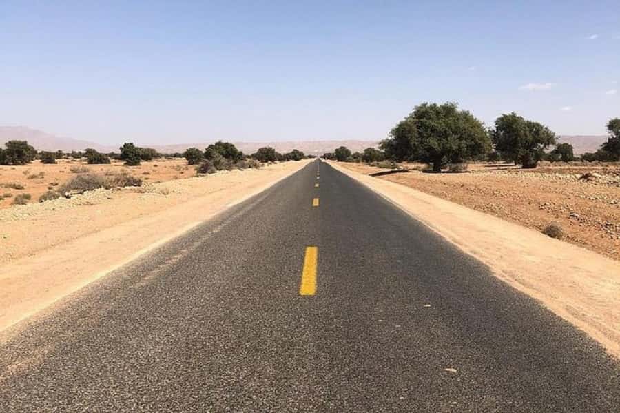 From Agadir: Taroudant and Tiout Day Tour with Lunch - Price and value: why $41 can work if you want a guided day