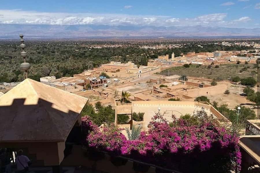 From Agadir: Taroudant and Tiout Day Tour with Lunch - Should you book this Taroudant and Tiout day tour?