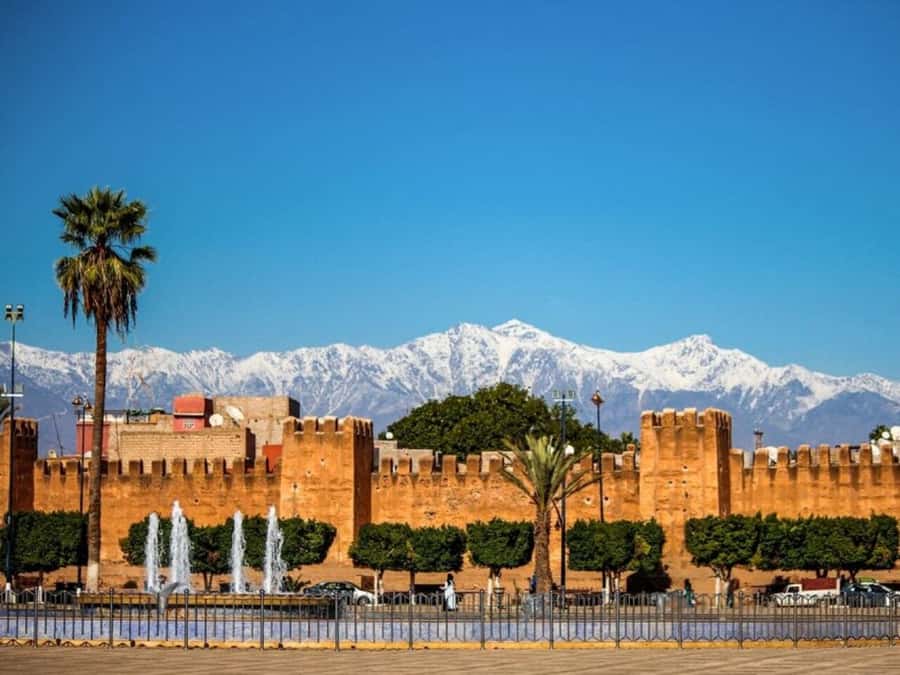 From Agadir: Taroudant & Tiout guided excursion - Tiout Oasis: The Day’s Best Change of Pace