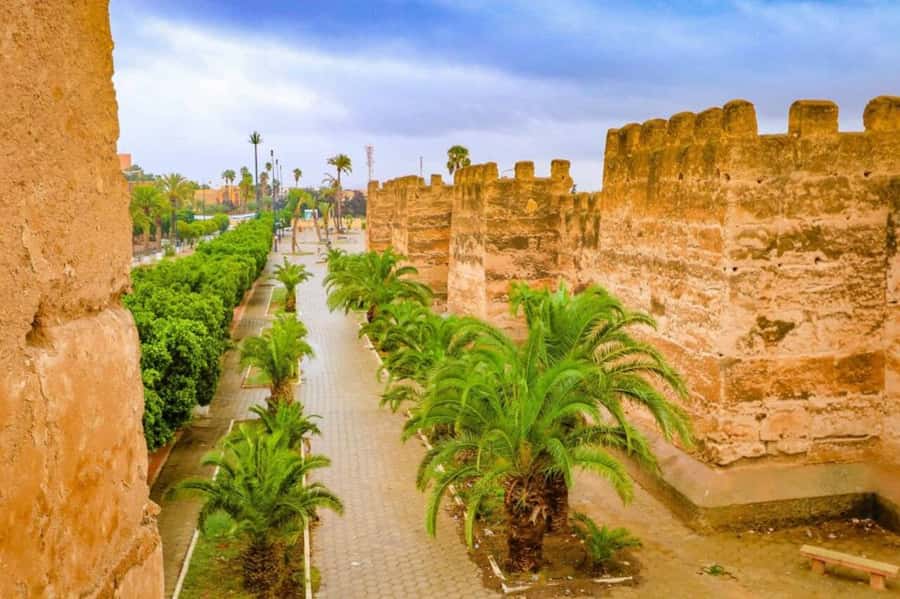 From Agadir: Taroudant & Tiout guided excursion - Guides, Language, and Group Size: What You Can Expect