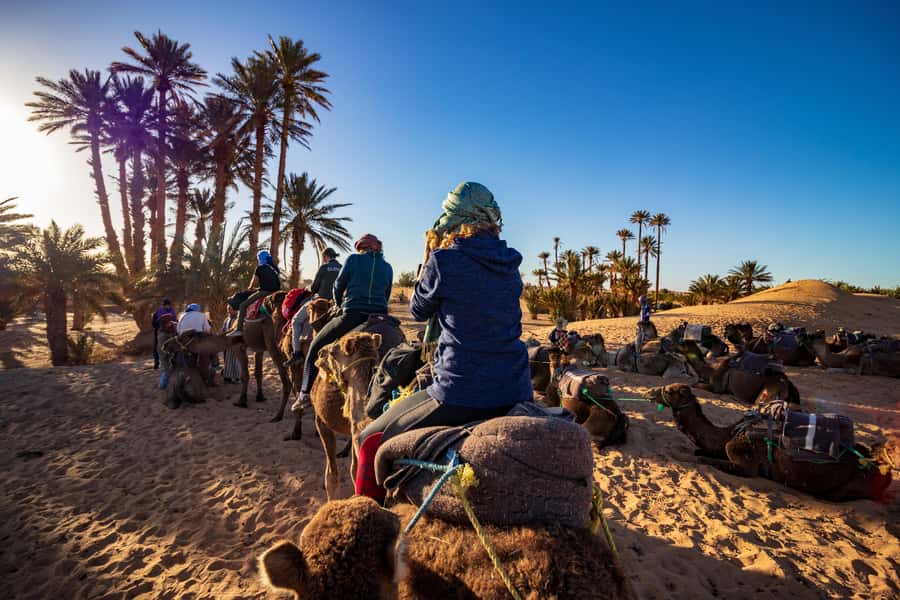 From Casablanca: Day Trip to Marrakech with Camel Ride - Secret Garden, Mellah, and Bab Agnaou: small stops that add texture