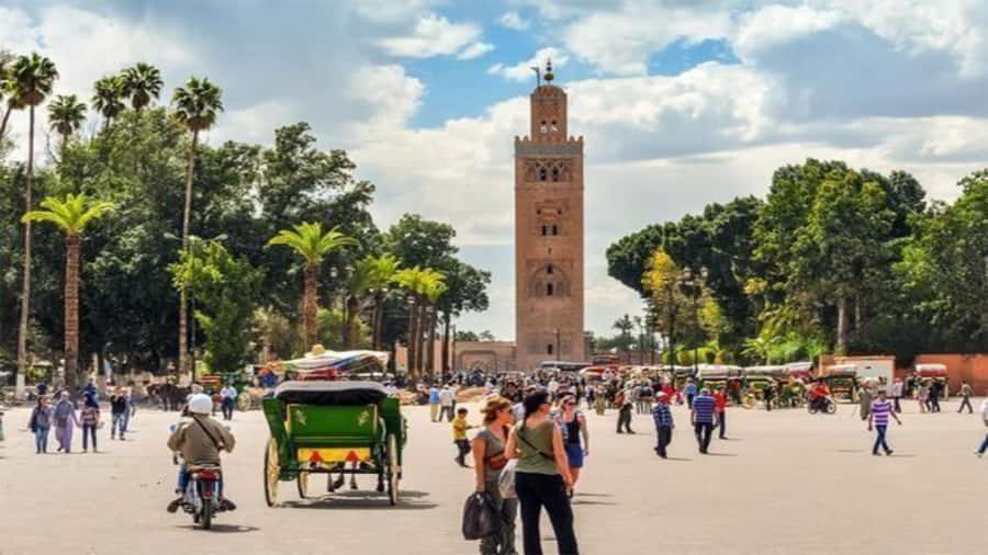 From Casablanca: Day Trip to Marrakech with Camel Ride - Price check: is $112 per person a good deal?
