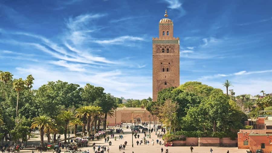 From Casablanca: Day Trip to Marrakech with Camel Ride - Palmeraie camel ride: scenic, short, and worth reading about