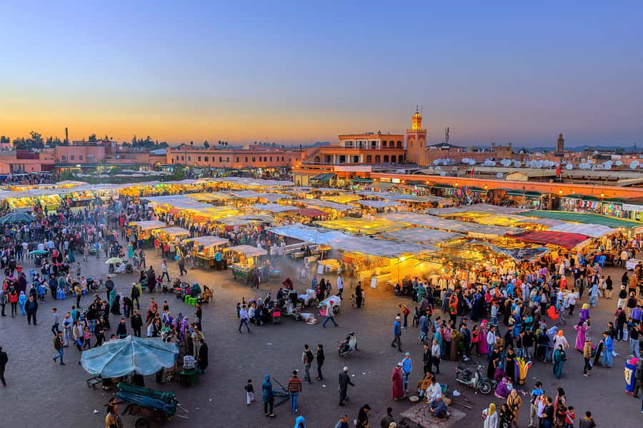 From Casablanca: Marrakech Guided Day Trip with Camel Ride - Medina lanes, souks, and shopping reality checks
