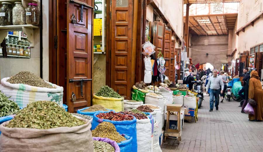From Casablanca: Marrakech Guided Day Trip with Camel Ride - Secret Garden in the Medina: the pause your feet need