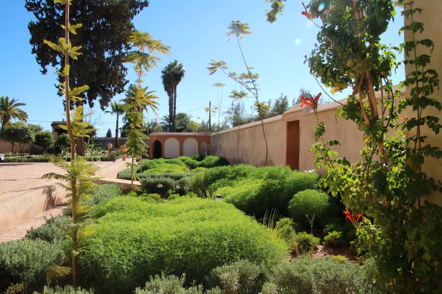 From Casablanca: Marrakech Guided Day Trip with Camel Ride - Menara Gardens with Atlas views: a quiet ending inside the city