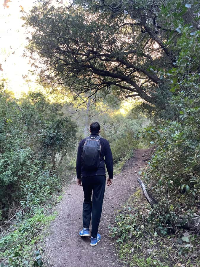 From Chefchaouen: Full-Day Trip to Akchour Waterfalls - What to Bring for Akchour Waterfalls (So You Enjoy It, Not Fight It)
