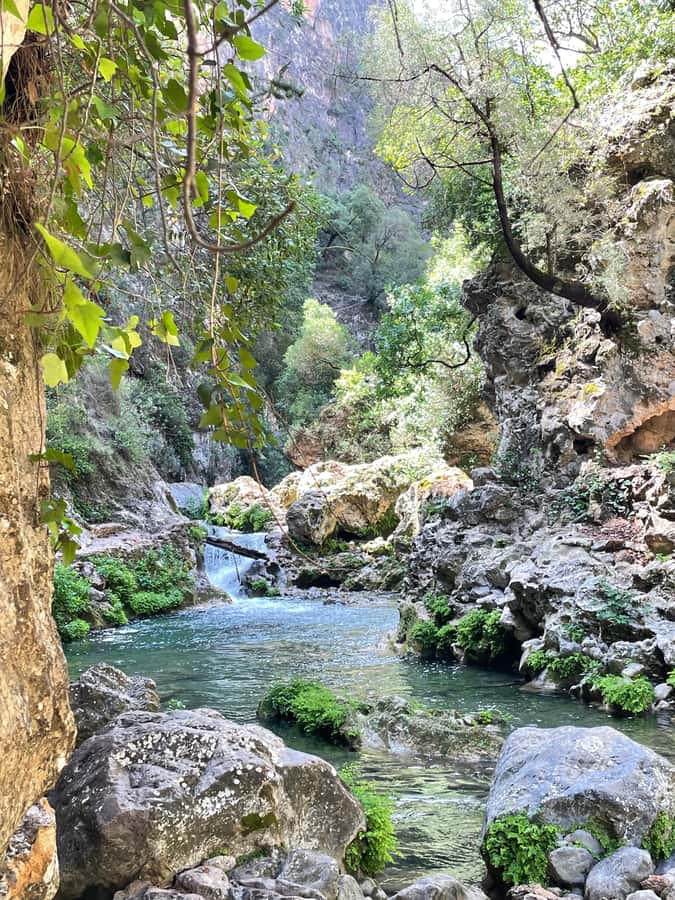 From Chefchaouen: Full-Day Trip to Akchour Waterfalls - First Waterfall Stop: Mint Tea, Orange Juice, and a View You Can Breathe