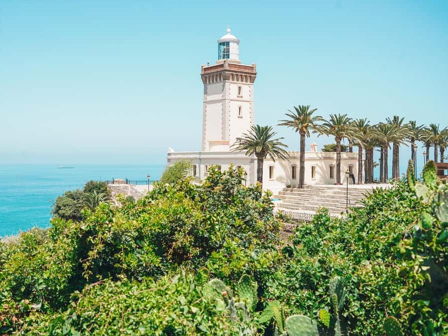 From Costa del Sol: Discover Tangier on a Guided Day Trip - Panoramic Tangier ride and port meeting: getting oriented fast
