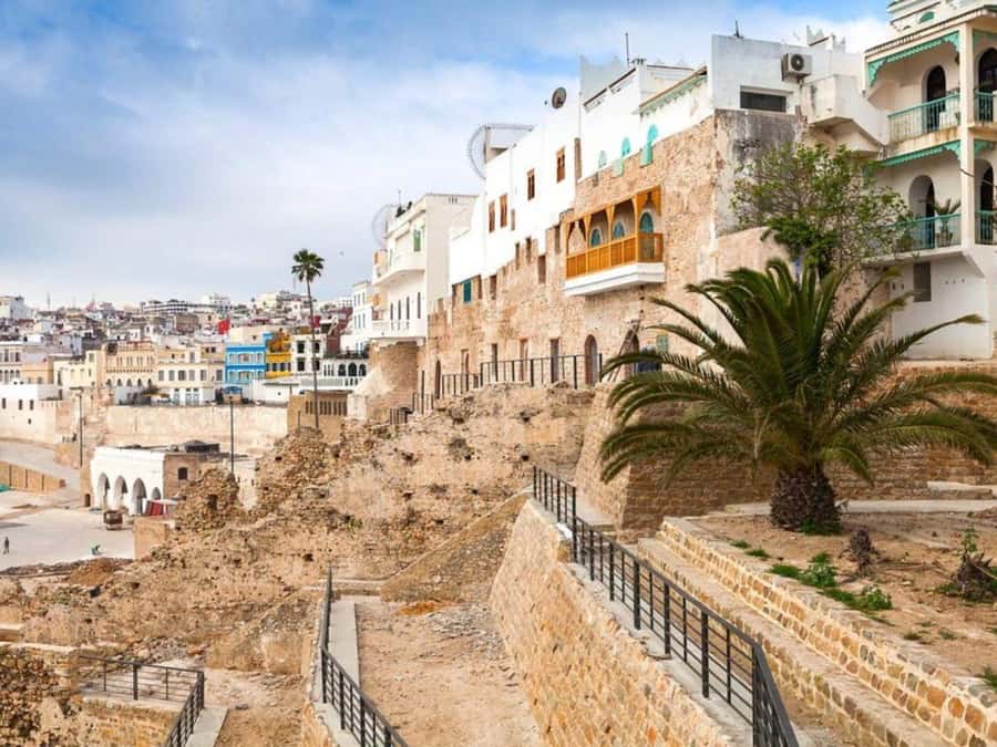 From Costa del Sol: Discover Tangier on a Guided Day Trip - Optional bazaar and Berber pharmacy stops: cultural shopping with flexible timing