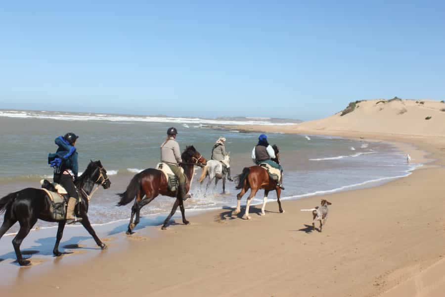 From Essaouira: 1-Hour Horse Ride - Why a 1-hour ride out of Essaouira feels worth it