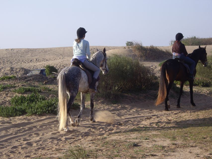 From Essaouira: 1-Hour Horse Ride - The river start: palace ruins and why this part isn’t just a warm-up