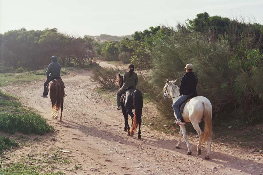 From Essaouira: 1-Hour Horse Ride with sunset - Who This Horse Ride Is For, and Who Should Skip It