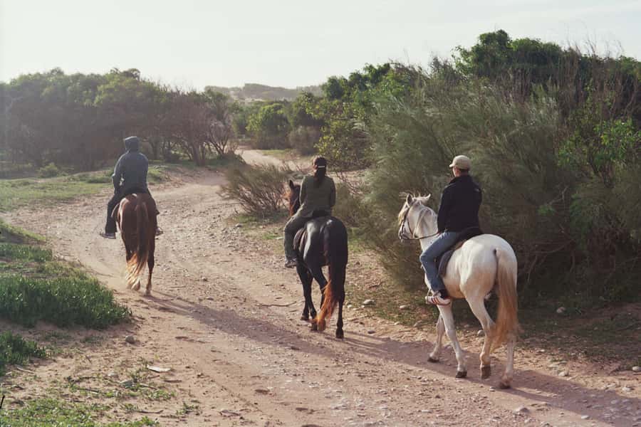 From Essaouira: 1-Hour Horse Ride - From the medina edge to Ranch de Diabat, and what to expect on arrival