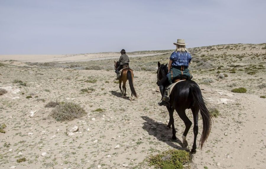 From Essaouira: 2h Horseback Ride with Sunset - The horses and instruction: confidence for beginners, fun for good riders