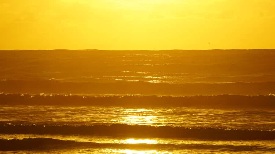 From Essaouira: 2h Horseback Ride with Sunset - Getting to the ranch from Essaouira, pickup included