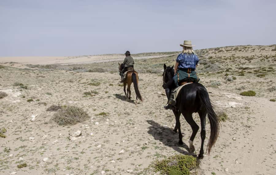 From Essaouira: Scenic Diabat Horseback Ride with Transfer - How This Diabat Ride Feels, From Pickup to First Step