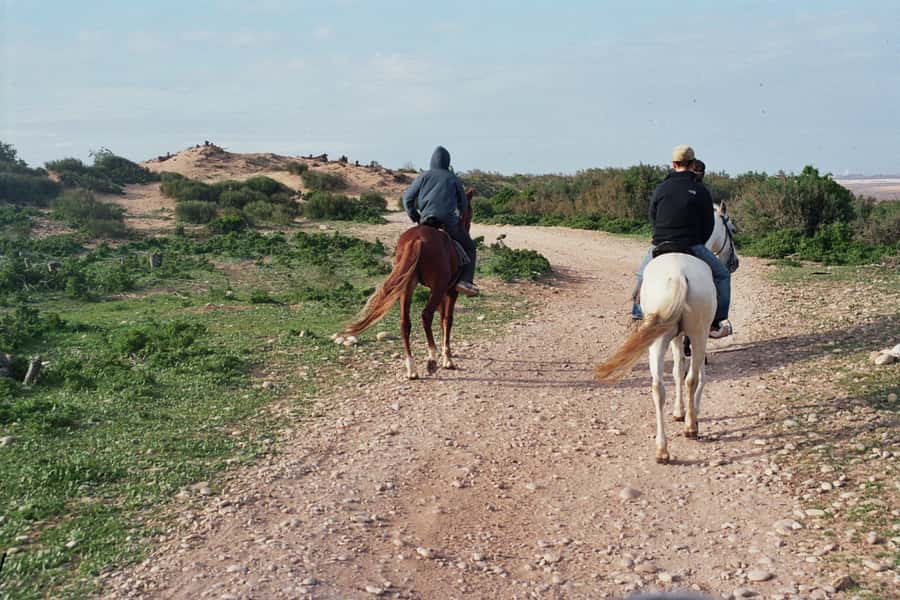 From Essaouira: Scenic Diabat Horseback Ride with Transfer - The Beach and Dunes Segment: Ocean Views and That Quiet-World Feeling