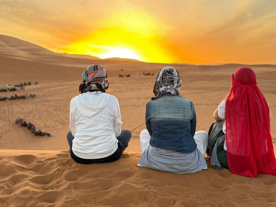From Fes: 2-Day Desert Tour with Return to Fes or Marrakech - Azrou Cedar Forest and the Monkey Moment