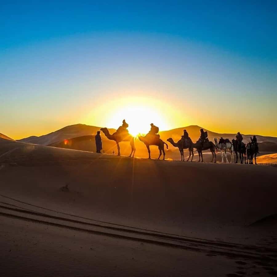 From Fes: 2-Day Luxury Desert Tour to Marrakech & Back Fez - Camel trek into the Sahara, and how sunset becomes the main event