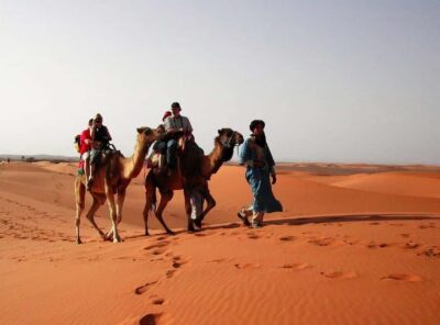2-Day Luxury Desert Tour to Marrakech & Back Fez
